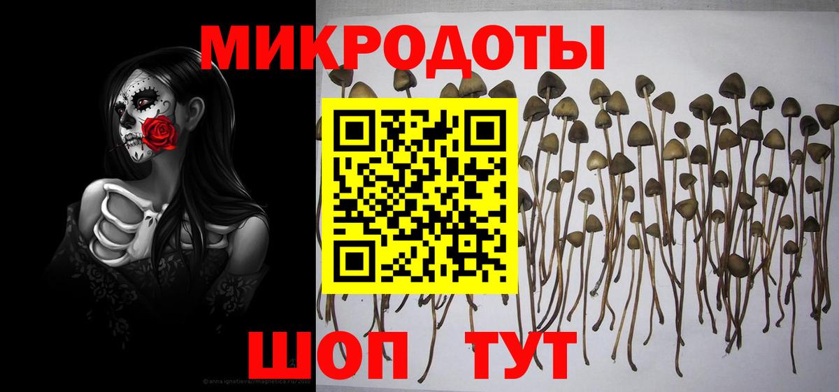 Галлюциногенные грибы Psilocybe  Псилоцибиновые грибы Psilocybe  Кондопога  Вход с VPN 